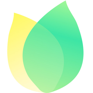 飞火动态壁纸绿色版