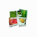 FotoWall _图像处理工具 v0.9官方正式版