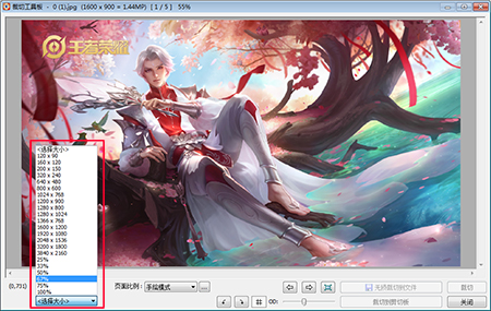 FastStone Image Viewer(图像浏览软件)