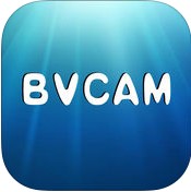 bvcam软件