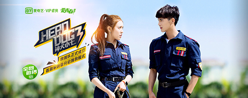 爱奇艺视频助手