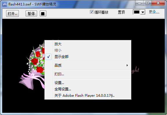swf电脑播放精灵