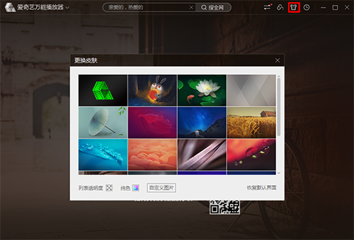 爱奇艺万能电脑播放器