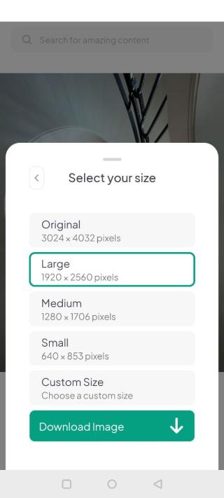 pexels视频素材app软件
