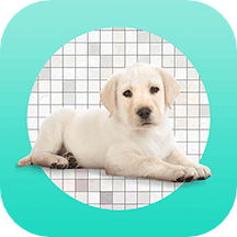 天天抠图神器免费版