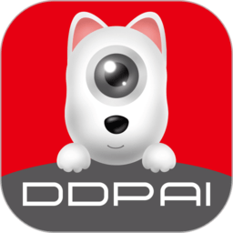 盯盯拍车机版app v8.0.2.1220安卓版