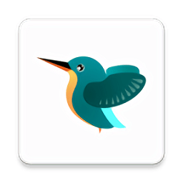 翠鸟pro监控软件(kingfisherpro) v202112221安卓版