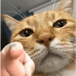 墨白影视app最新版 v2023安卓版