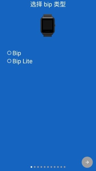 amazfit bip watchfaces软件