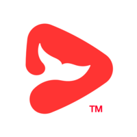 一起学网校app(改名为锦书在线) v2.32.12.10011安卓免费版安卓版