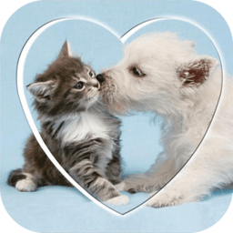 速跳猫狗交流器app(猫语狗语翻译交流器) v23.11.27安卓版