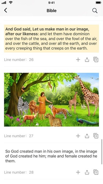 sheet viewer最新版