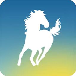 百马出行司机端app官方版