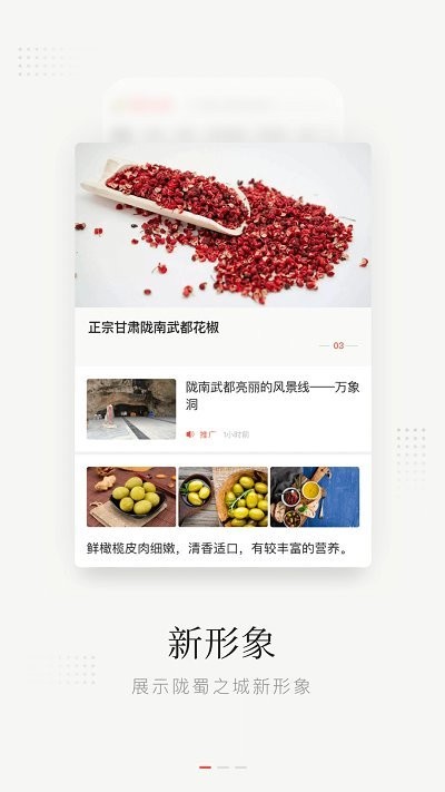 陇蜀之城app(改名万象武都)