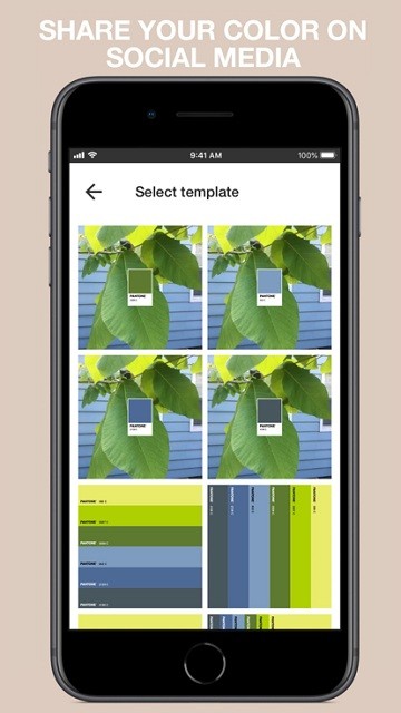 pantone connect app