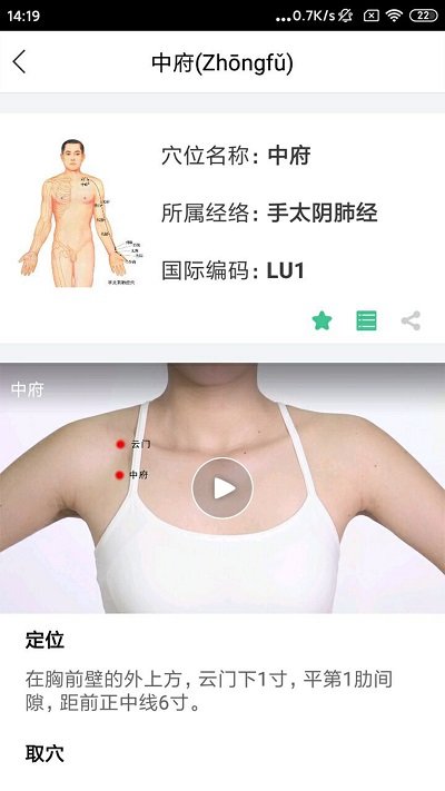 经络穴位图解app