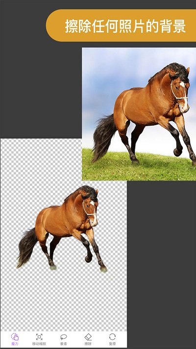 proknockout智能抠图p图app