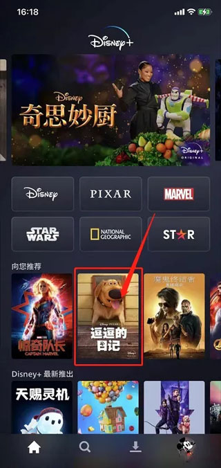 迪士尼plus流媒体平台(Disney+)