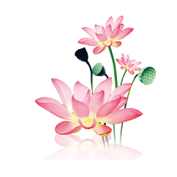 水墨工具箱app v1.1.6安卓版