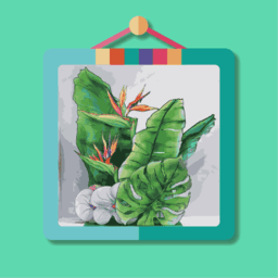 边框故事app官方版 v1.4安卓版