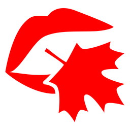 西禾口语app v3.1.15.0611安卓方版安卓版