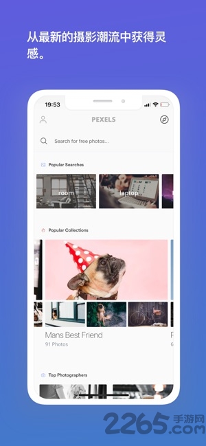 pexels视频素材app软件