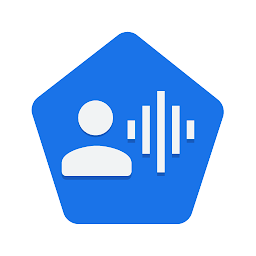 Voice Access app v6.1.530397167