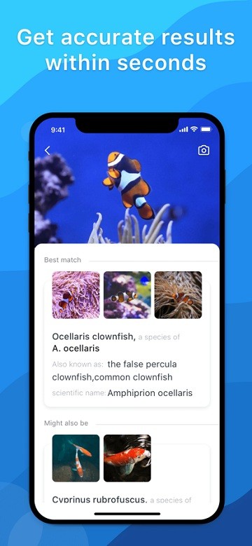 picture fish app