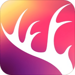 charmdeer app