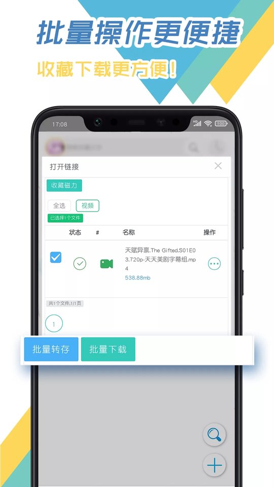 飞鸟下载器app官方版