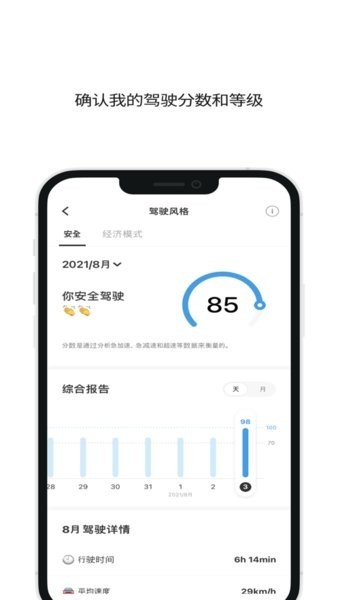 infocar检测软件