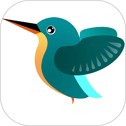 kingfisher摄像头手机版 v202202151