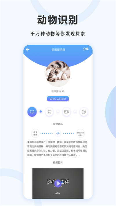 万图拍拍照翻译app