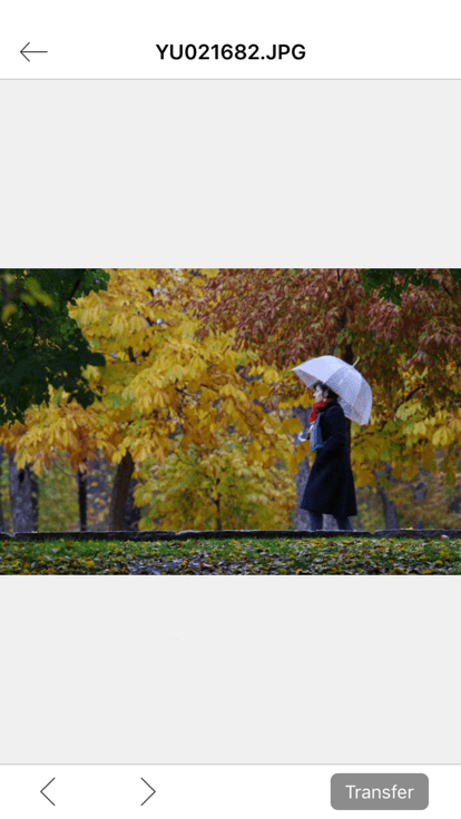 理光image sync官方版