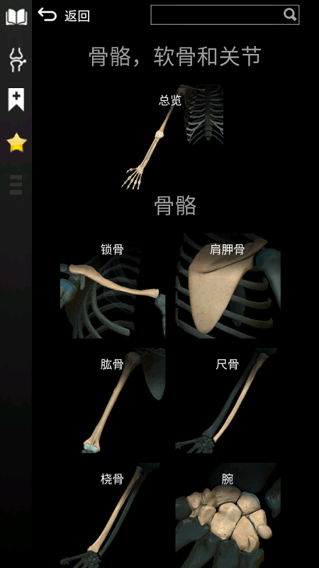 3d解剖学软件(anatomy learning)