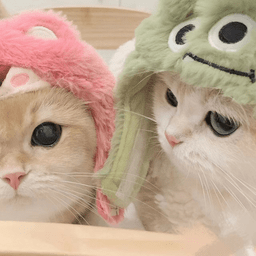 嘤嘤怪影视app最新版 v2.6安卓版