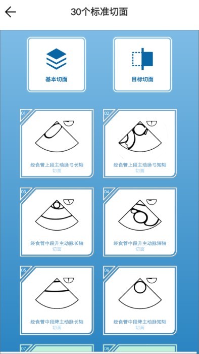 维思模tee模拟app