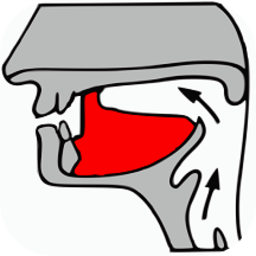 小学英语自然拼读课堂app v1.7.06安卓版