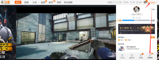 斗鱼直播电脑伴侣