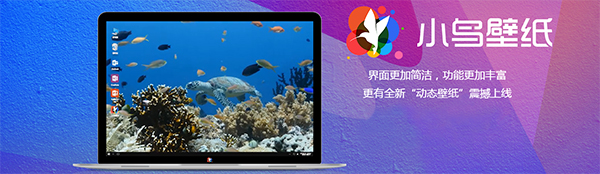 小鸟壁纸pc电脑版