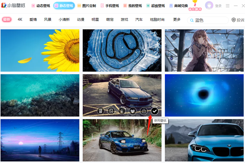 小鸟壁纸pc电脑版