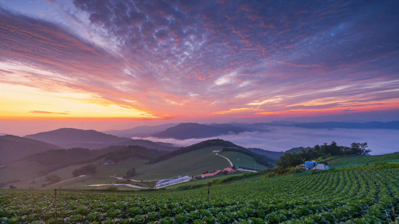 微软锁屏画报电脑版