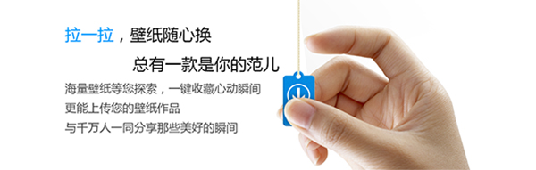 小鸟壁纸pc电脑版