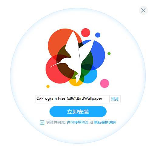 小鸟壁纸pc电脑版