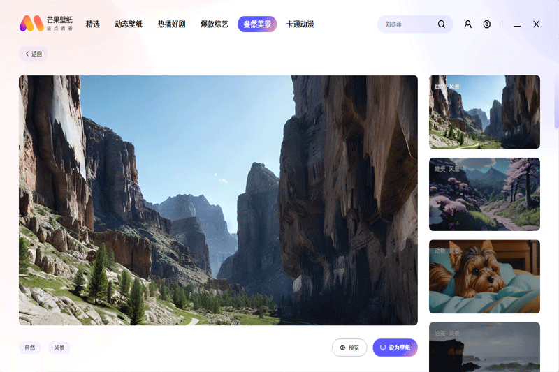 芒果壁纸pc电脑最新版