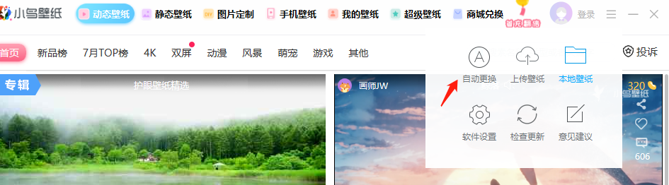 小鸟壁纸pc电脑版