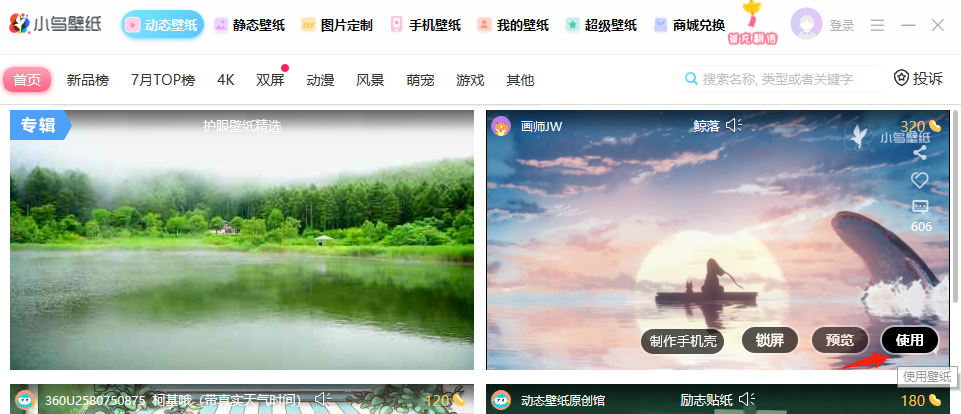 小鸟壁纸pc电脑版