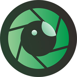 小智护眼宝（专业的蓝光护眼工具软件）