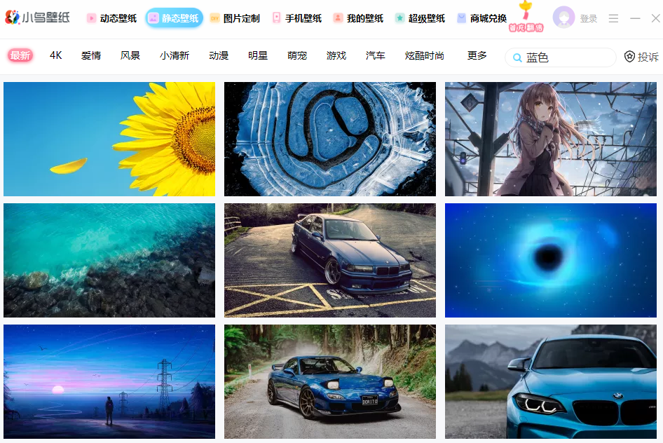 小鸟壁纸pc电脑版