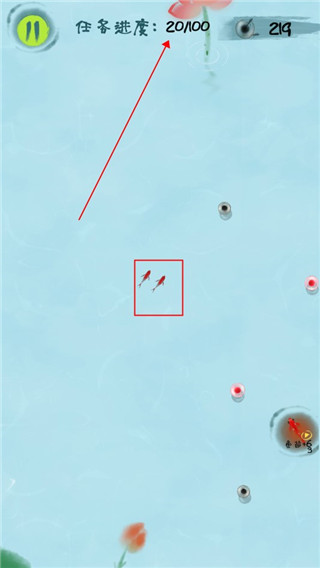 鱼戏荷塘官方正版